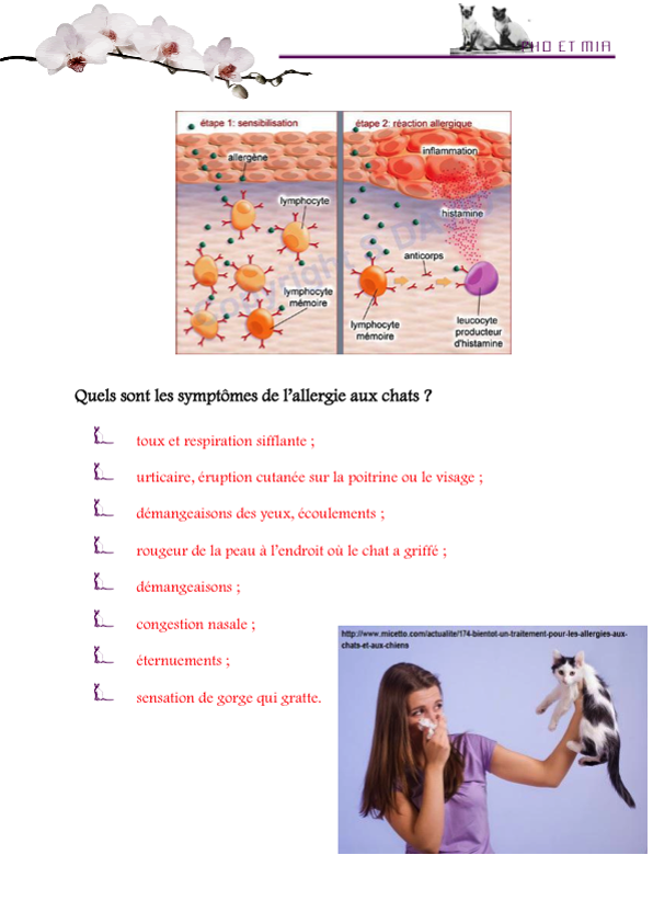 Allergique aux chats (gliss(e)s)