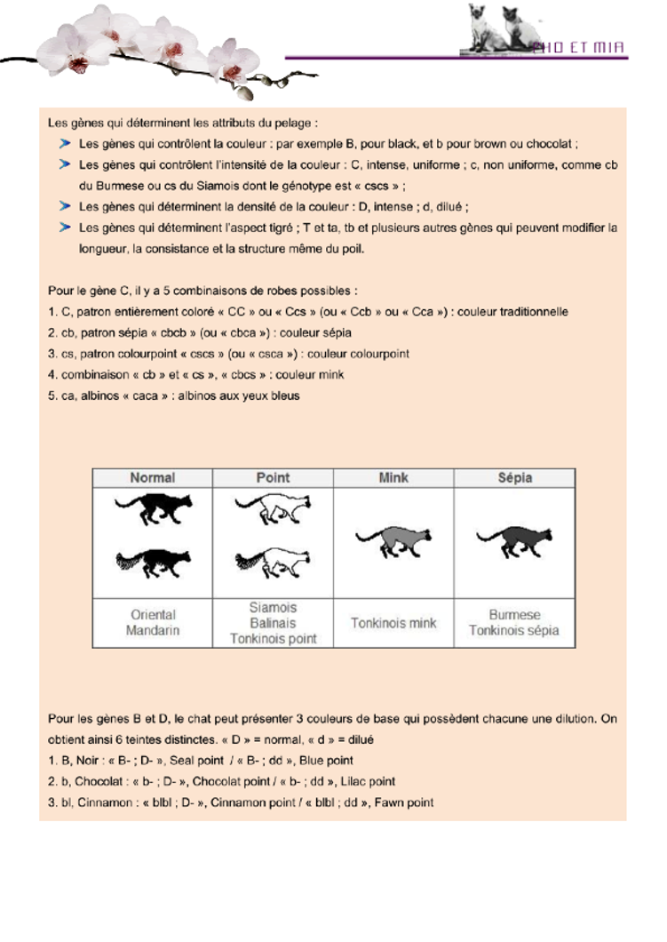 Aperu gntique des couleurs par Anabela (gliss(e)s)