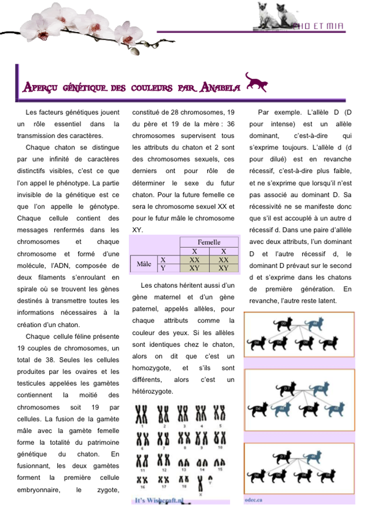 Aperu gntique des couleurs par Anabela (gliss(e)s)