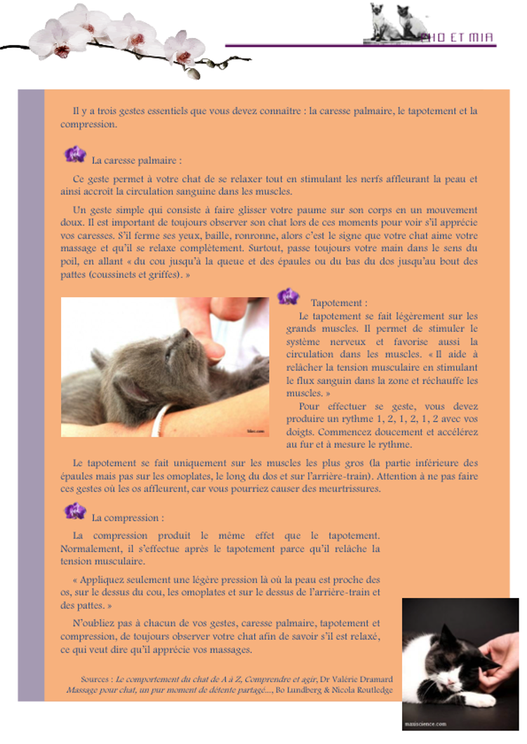 Caresses et Clins par le Dr Valrie Dramard (gliss(e)s)