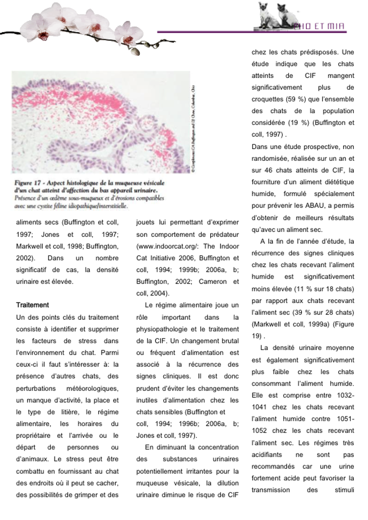 La CIF par Manuella Ferut (gliss(e)s)