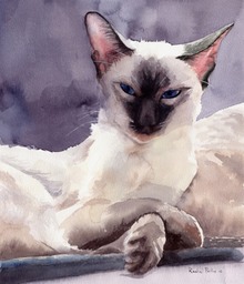 siamese.attitude.full