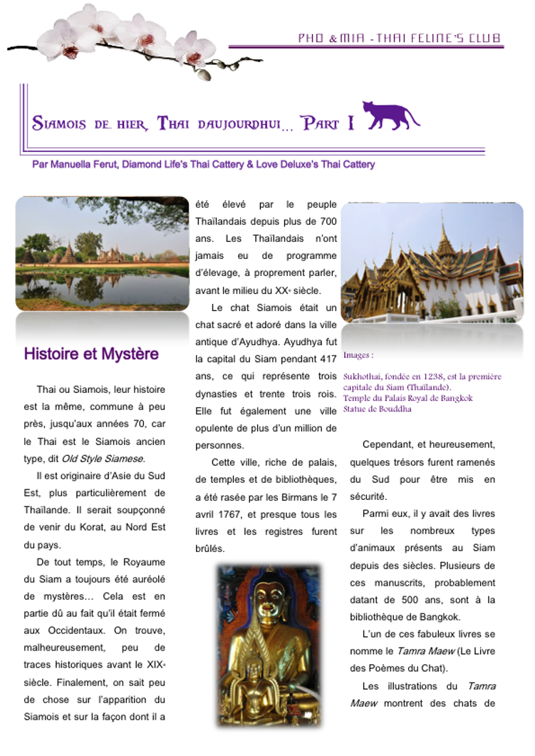Siamois de hier, Thai d'aujourd'hui... Part 1 - Histoire & Mystère-3 (glissé(e)s)